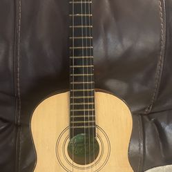 Skylark Brand Guitar 