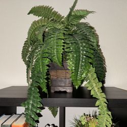 Indoor Artificial Faux Fern Plant Home Decor - 20” wide x 16” high 