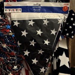 Presidential election party supplies