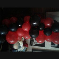 Balloon Arch Party 🎉