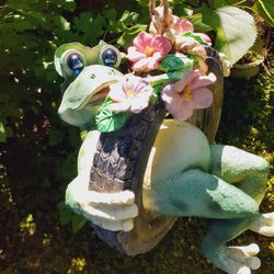 Tire Swing Frog