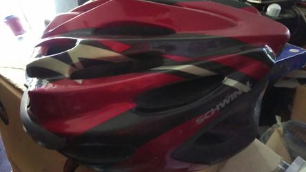 Schwinn helmet