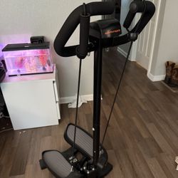 Stair Stepper, Twist/Mini Stepper for Exercise