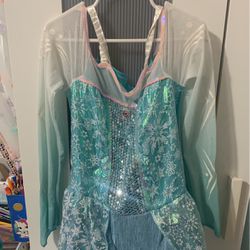 Elsa Frozen Dress Costume