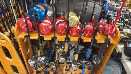 Avid reels