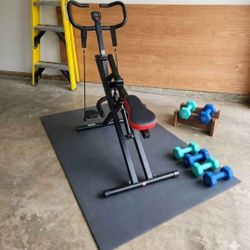 Sunny Health & Fitness Squat Assist Row-N-Rider - Like New
