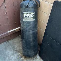 Pro Punching Bag