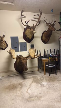 All for sale