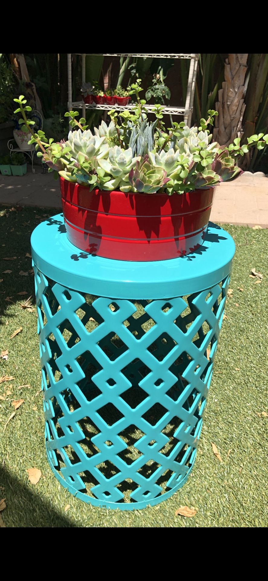 Gorgeous succulent arrangement in a beautiful red ceramic pot with designed metal table or stand