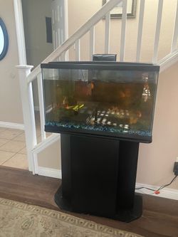 $75