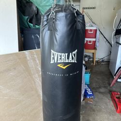 Everlast Punching Bag