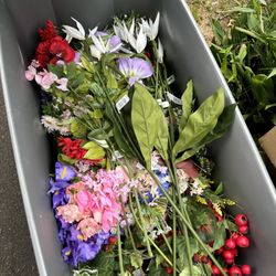 Flowers For Arrangements Bouquets 