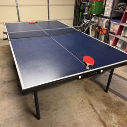 Ping Pong Table