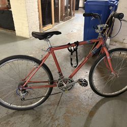 Cute Vintage Bicycle 