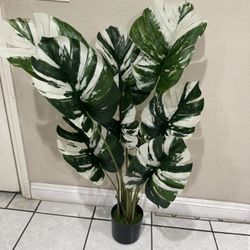 Fake Monstera Albo 4ft