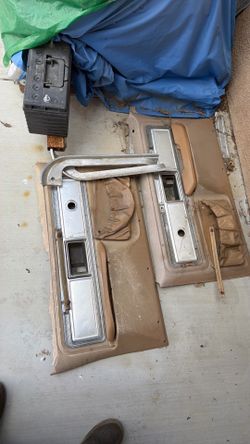 1979 C10 door panels