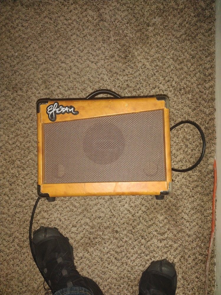 Esteban G-10 Guitar Amplifier (10 Watt Output)