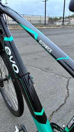 Evo e bike