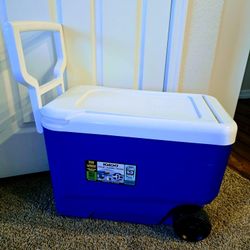 Cooler $20