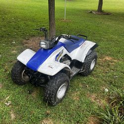 2000 Yamaha Breeze 