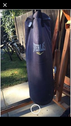 Everlast punching bag