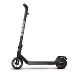 Bird Electric Scooter 