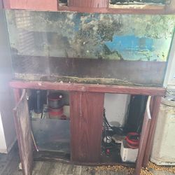 Salt Water Fish Tank 90 Gallon