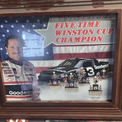 Dale Earnhardt Pictures 