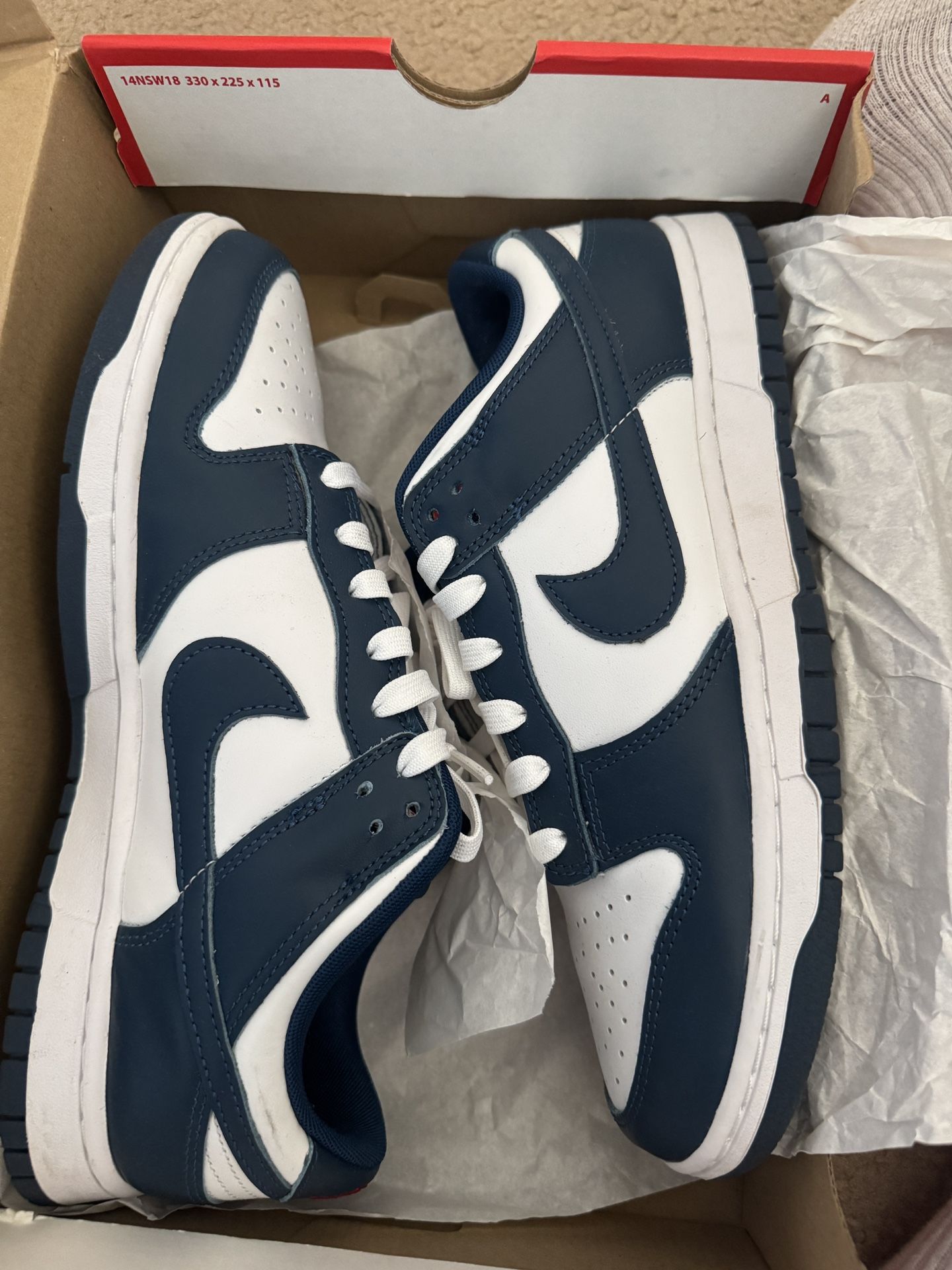 Nike Dunk Low Valerian Blue