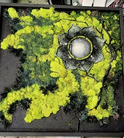 Moss wall art