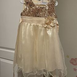 5T Girls Gold Dress 