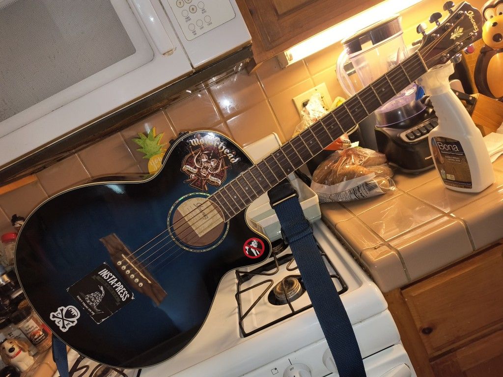 ibanez aeg10ii Acoustic Guitar