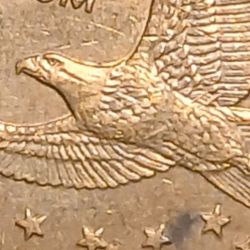 2000 Sacagawea Wounded Eagle Coin. 