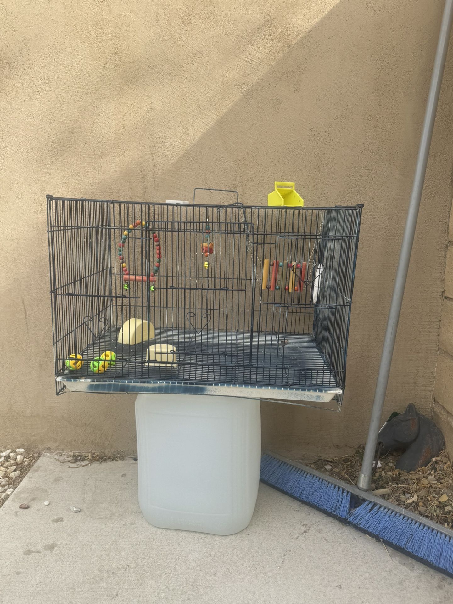 Bird Cage