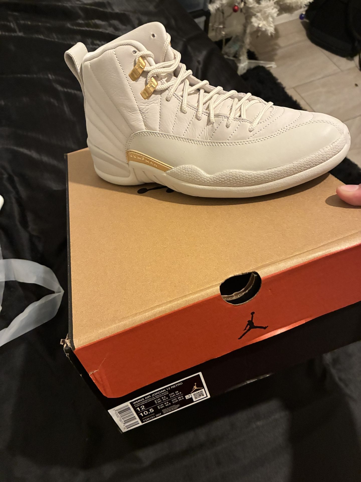 Jordan 12 Women Phantoms