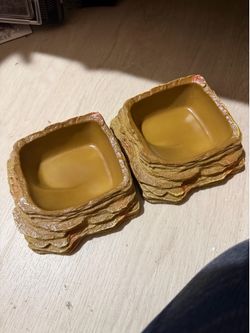 Reptile feeding dish