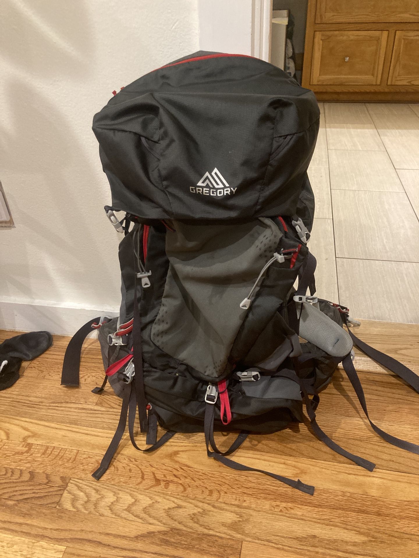 65L Gregory Back Pack