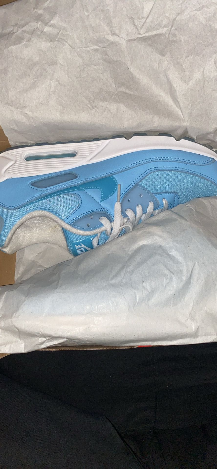 Air Max 90 Chill Blue Size 10