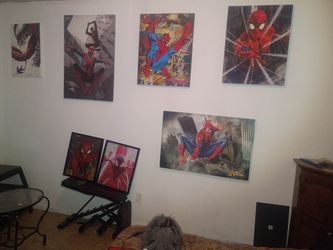 spider man canvases 