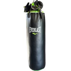 Everlast Punching bag