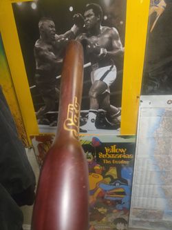 Babeball softball training heavy bat