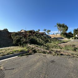 Demolition , Tree Trimming & More ‼️‼️