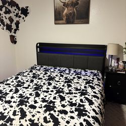 Queen Bed Frame only