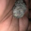 Bigguy
