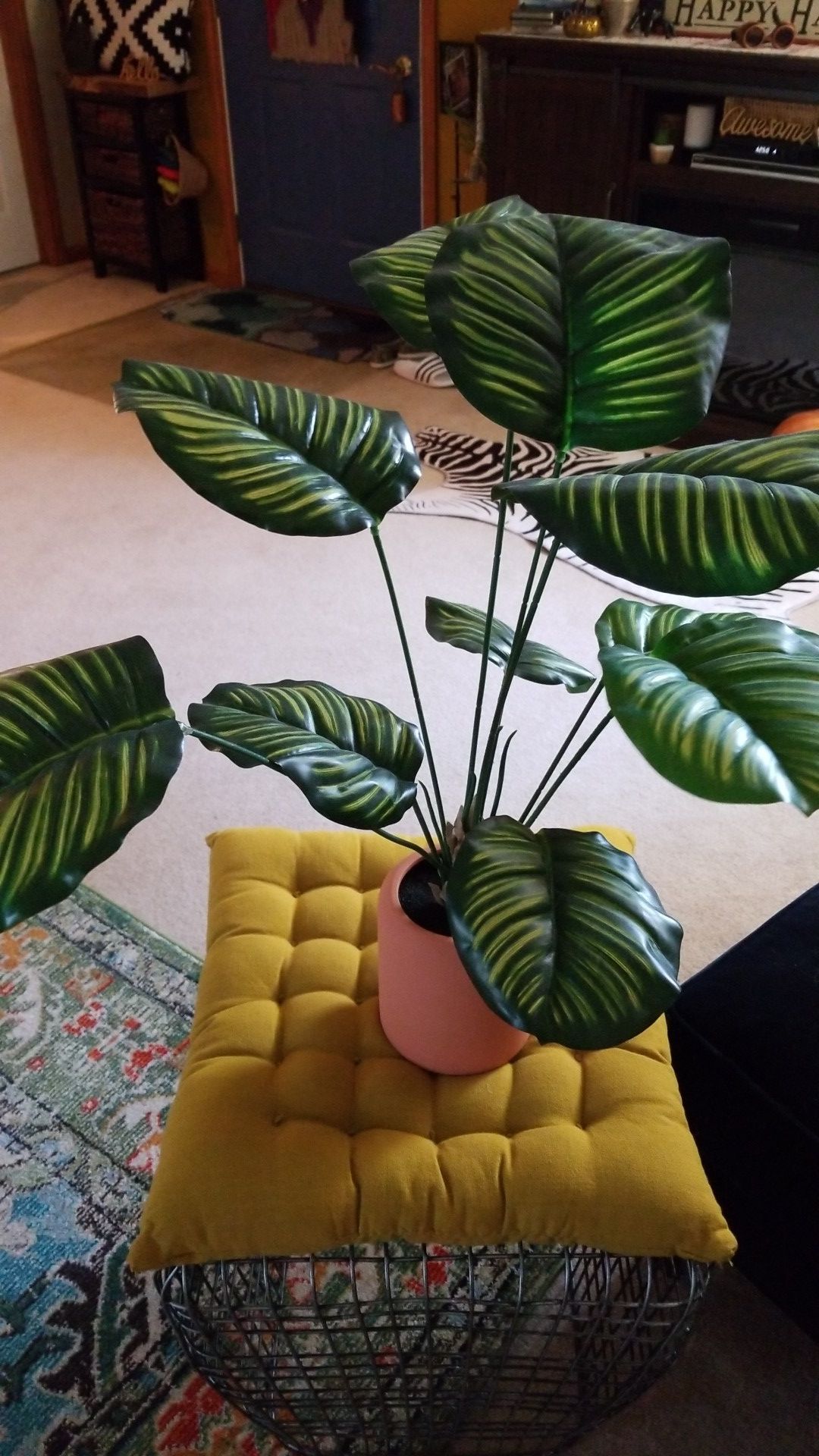 Project 62 calathea plant faux new with tags