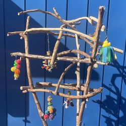 Parrot Perch Tree- Great Fun For That Special African Grey Or Amazon !! 👍🏼✅
