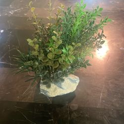 Fish Tank Accessories 