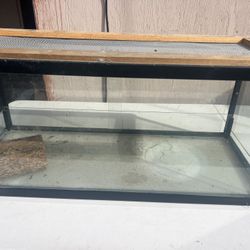 Reptile Tank