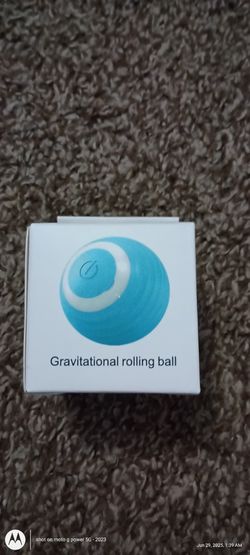 Cat Toy