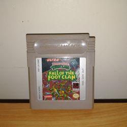 Teenage Mutant Ninja Turtles 